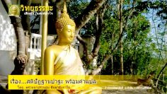 the-mind-conscious-formula-with-translation-2555-cover