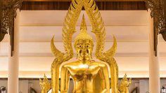 จุลสารโพธิยาลัย-ปีที่๔-ฉบับที่๓๘-กุมภาพันธ์-๒๕๕๘-cover