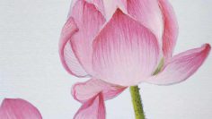 ไวยากรณ์เบื้องต้นใหม่-cover