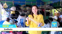 New18-Creative robes from plastic waste Produce fiber for making merit-cover