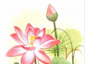 รูปสิทธิทีปนี-เล่ม3-การกกัณฑ์