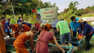 quick-win-90-Days-Kitchen-Planting-Project-3