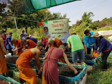 quick-win-90-Days-Kitchen-Planting-Project-3