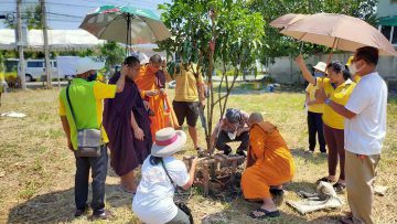 join-hands-to-grow-fruit-trees-without-chemistry_1