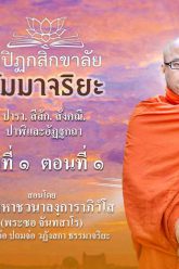 ธัมมาจริยะ-พระมหาซอ-2564