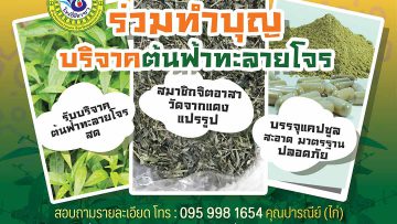 bodhisikkha-andrographis-paniculata