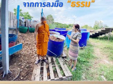 S__19546394