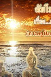 สัมโมตอนที่ 8