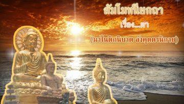 สัมโมตอนที่ 9
